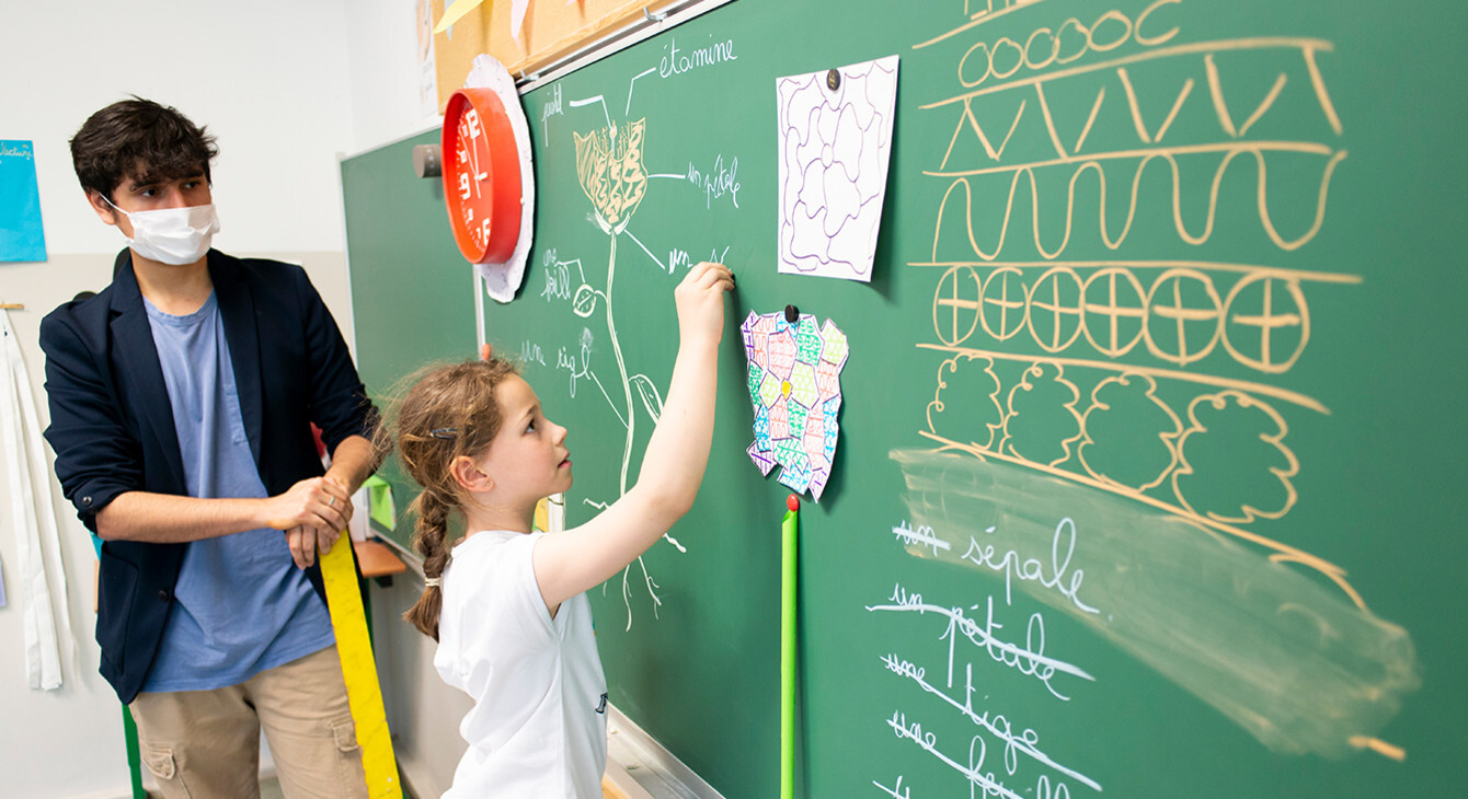 Devenir enseignant - recrutement des professeurs d'écoles | Académie de ...