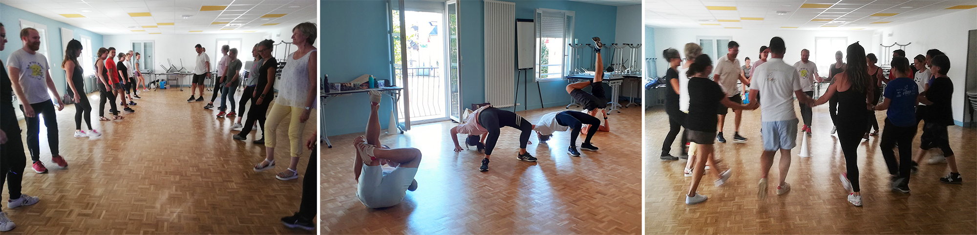 professeurs en formation sport