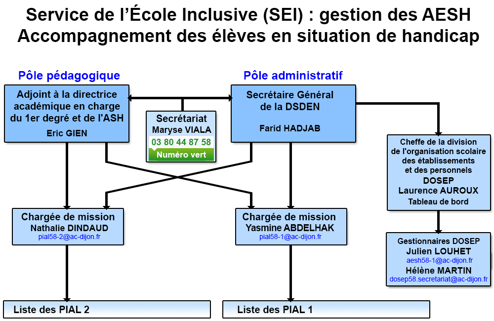 schéma organigramme