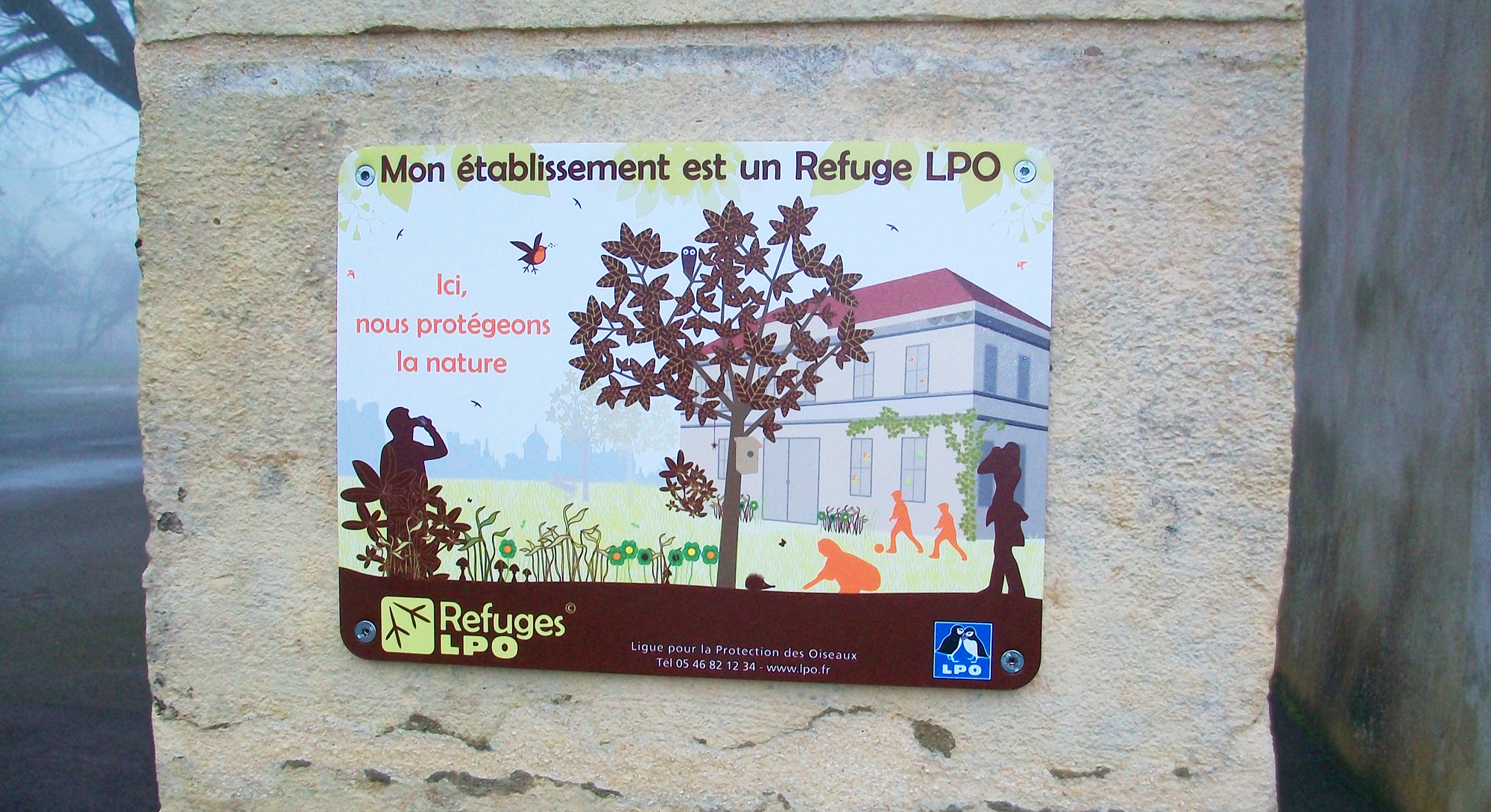 plaque