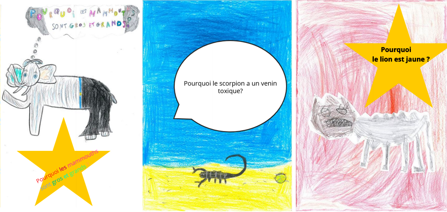 dessins