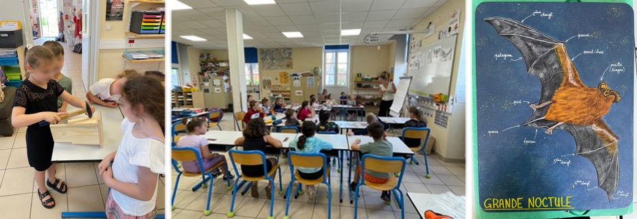 élèves