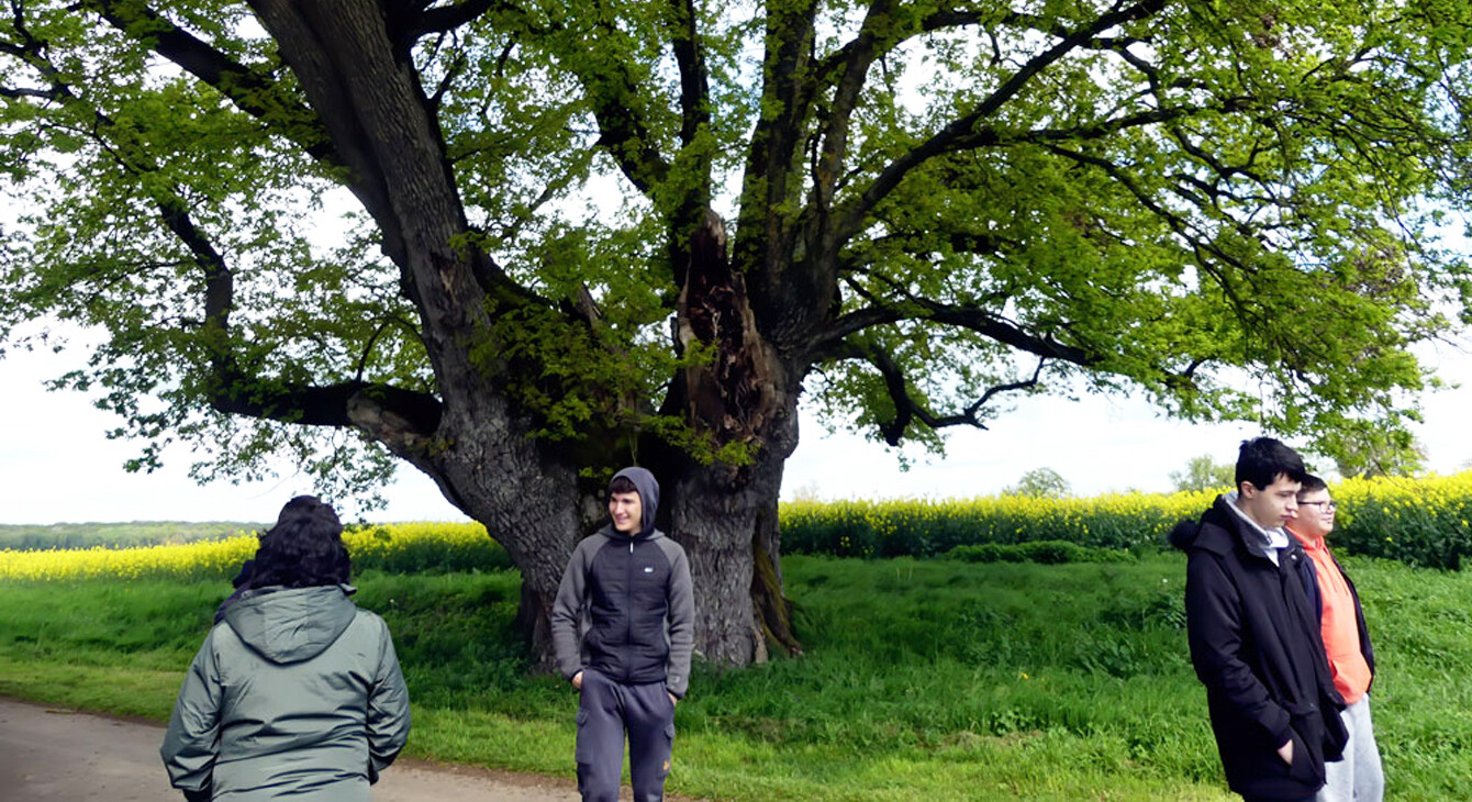 élèves en forêt