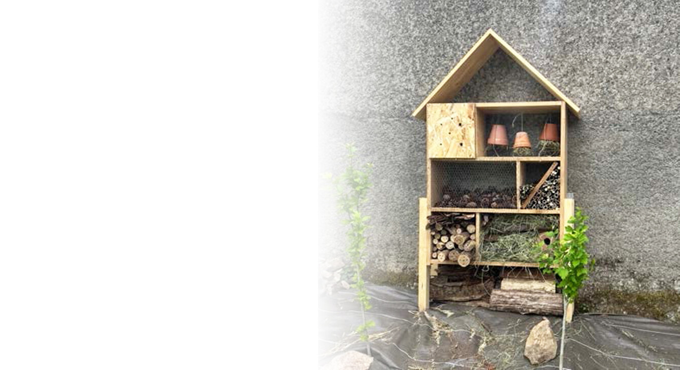 biodiversité