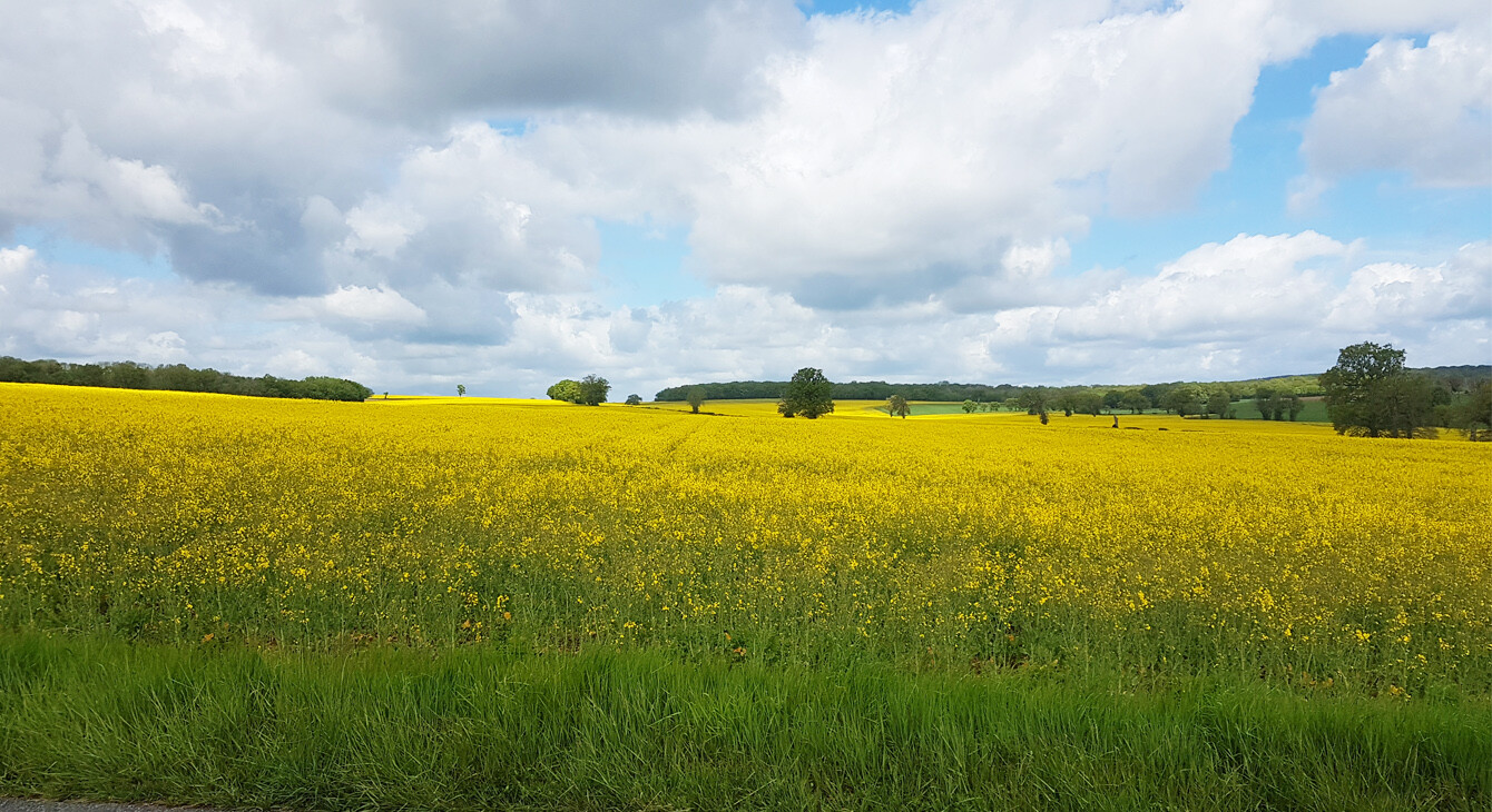 paysage