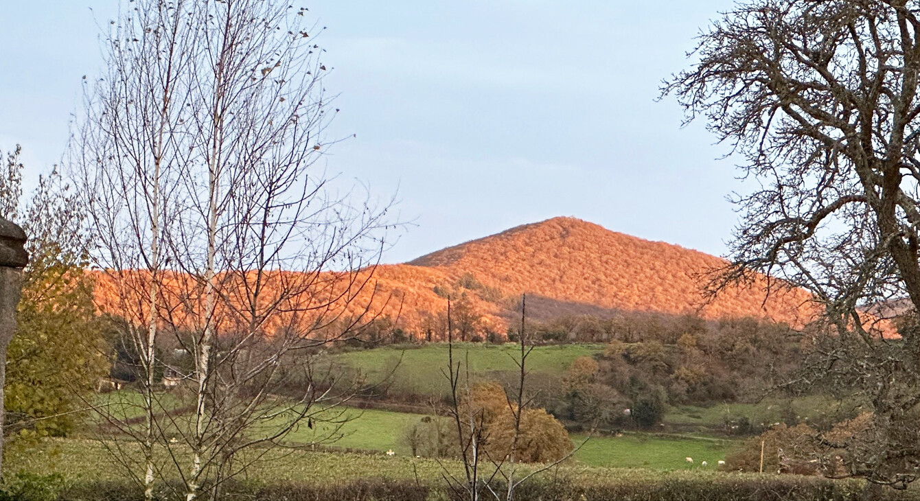 paysage