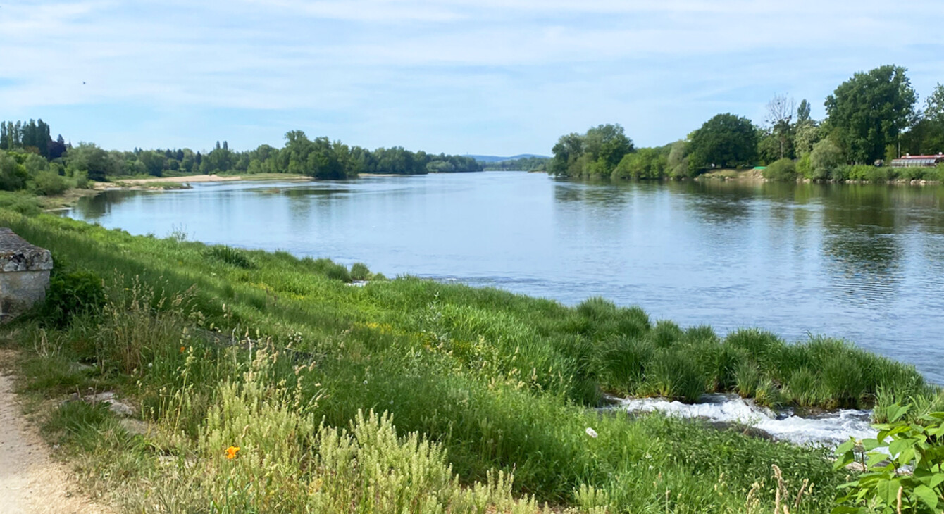 paysage