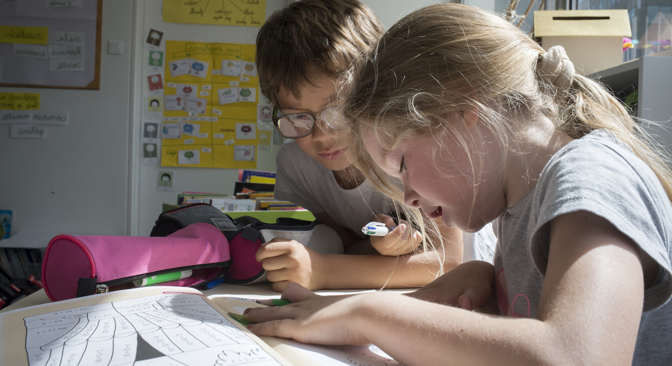 DSDEN21 les enseignements disciplinaires