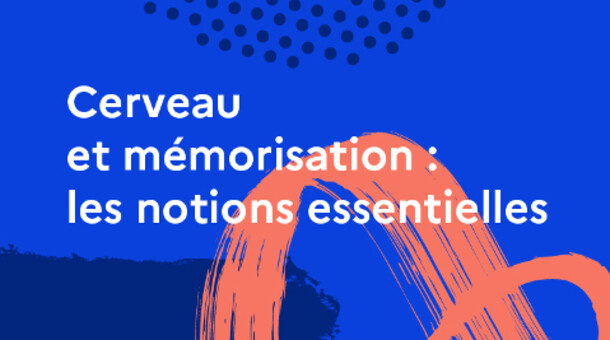 infographie