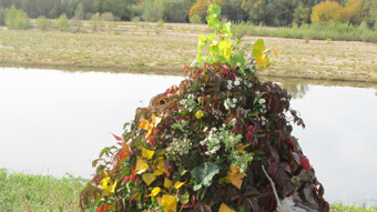 land art