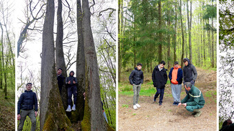élèves en forêt
