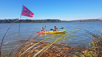 Canoë