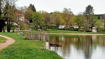 étang