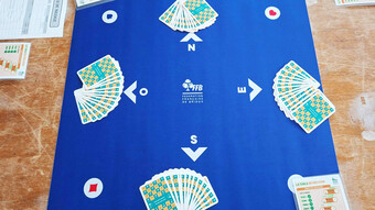 tapis de bridge
