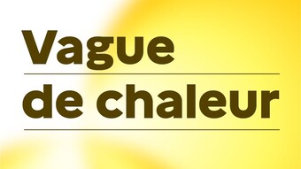 canicule